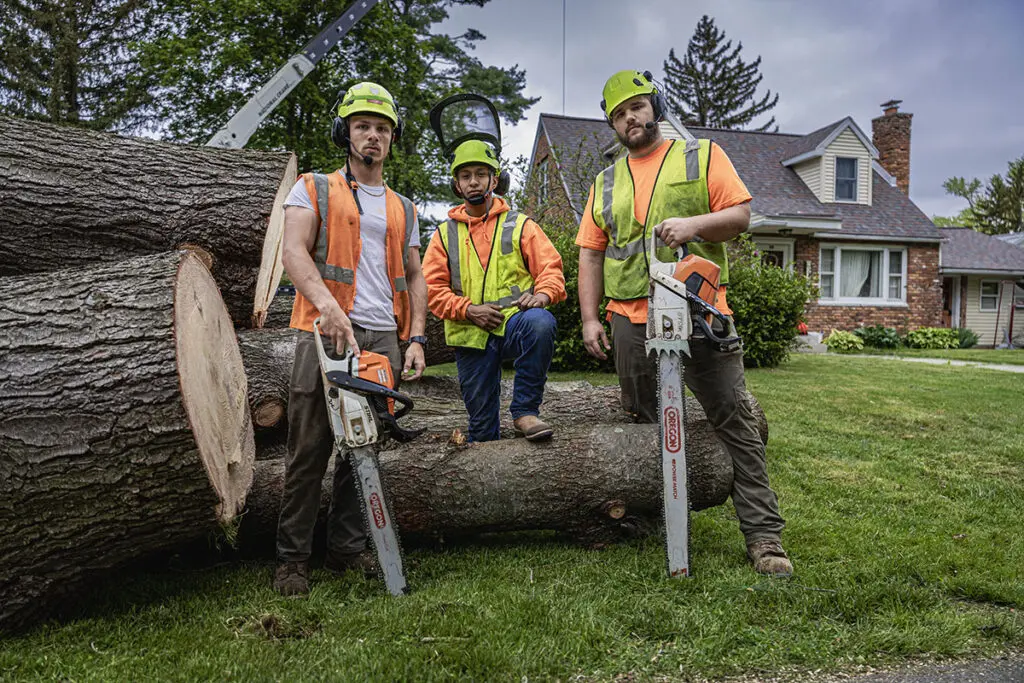 Advantage Tree Service - Albany, NY, Capital Region
