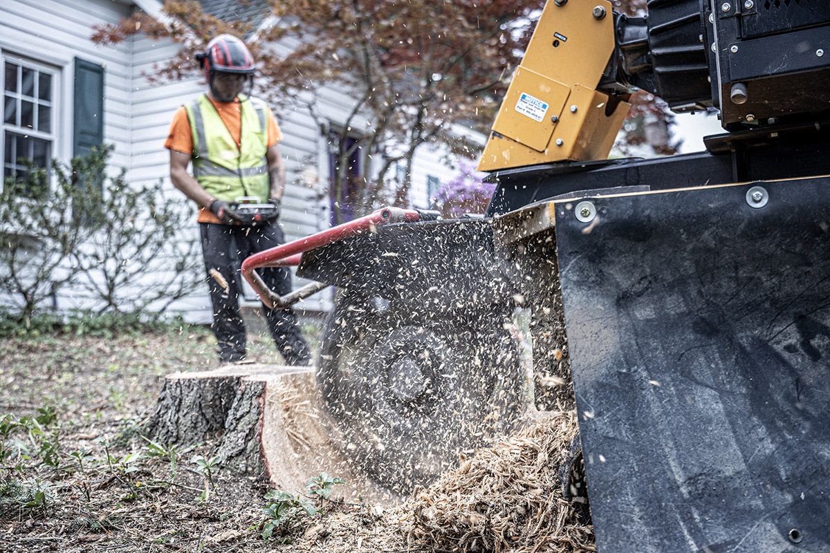 Stump Grinding- Advantage Tree Service - Albany, NY, Capital Region