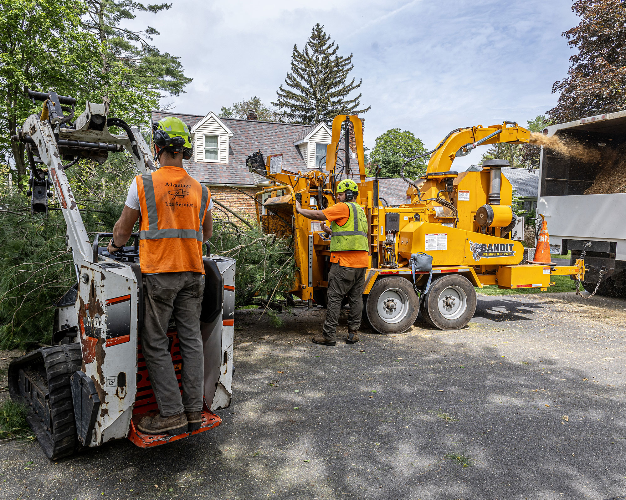 On-Site Grinding - Advantage Tree Service - Albany, NY, Capital Region