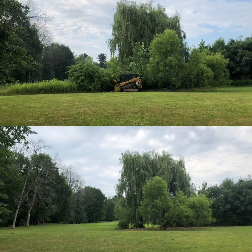 Forestry Mulching - Advantage Tree Service - Albany, NY, Capital Region