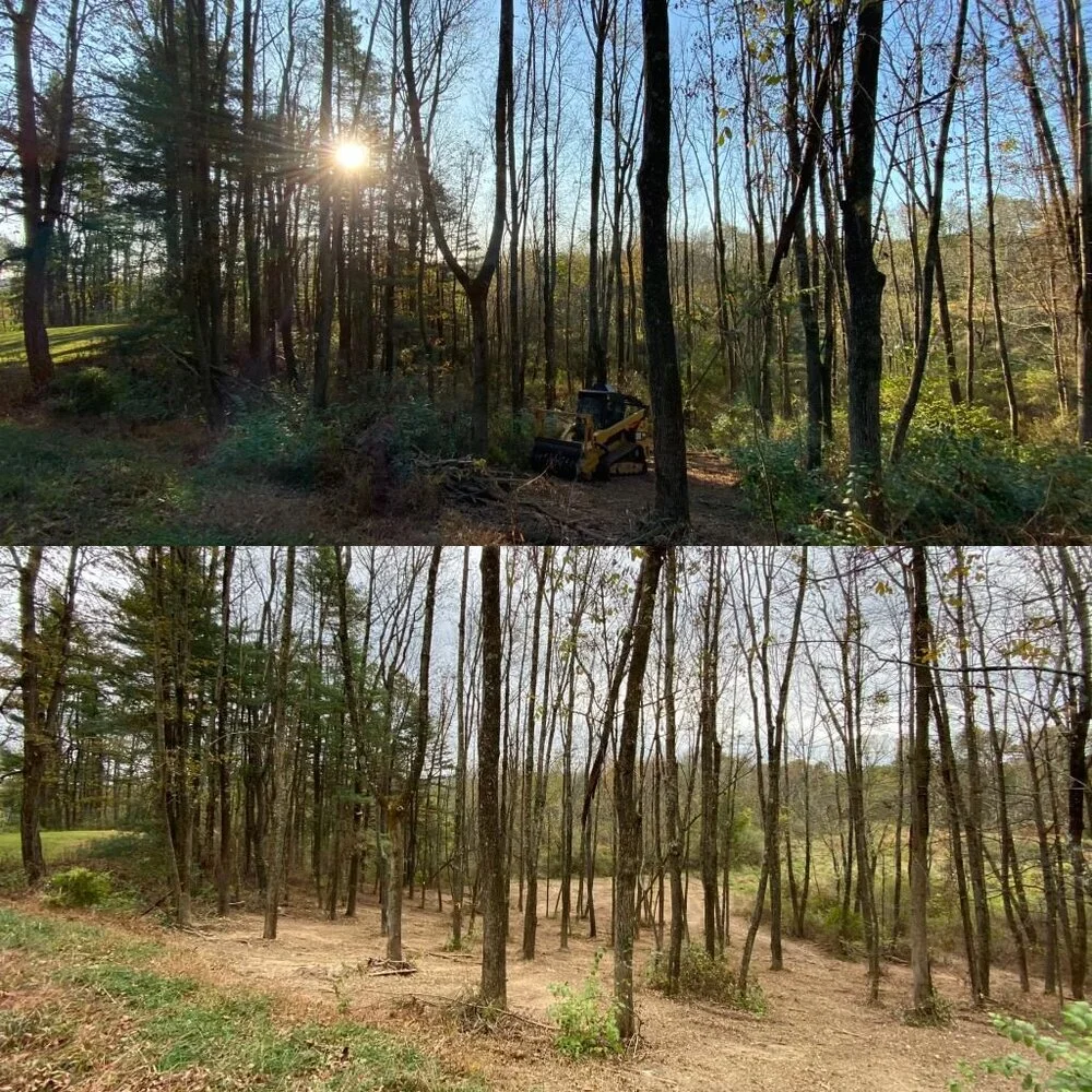 Forestry Mulching - Advantage Tree Service - Albany, NY, Capital Region