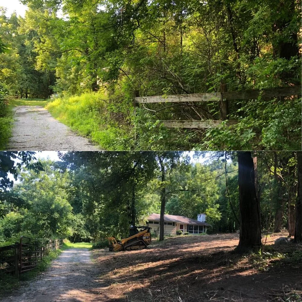 Forestry Mulching - Advantage Tree Service - Albany, NY, Capital Region