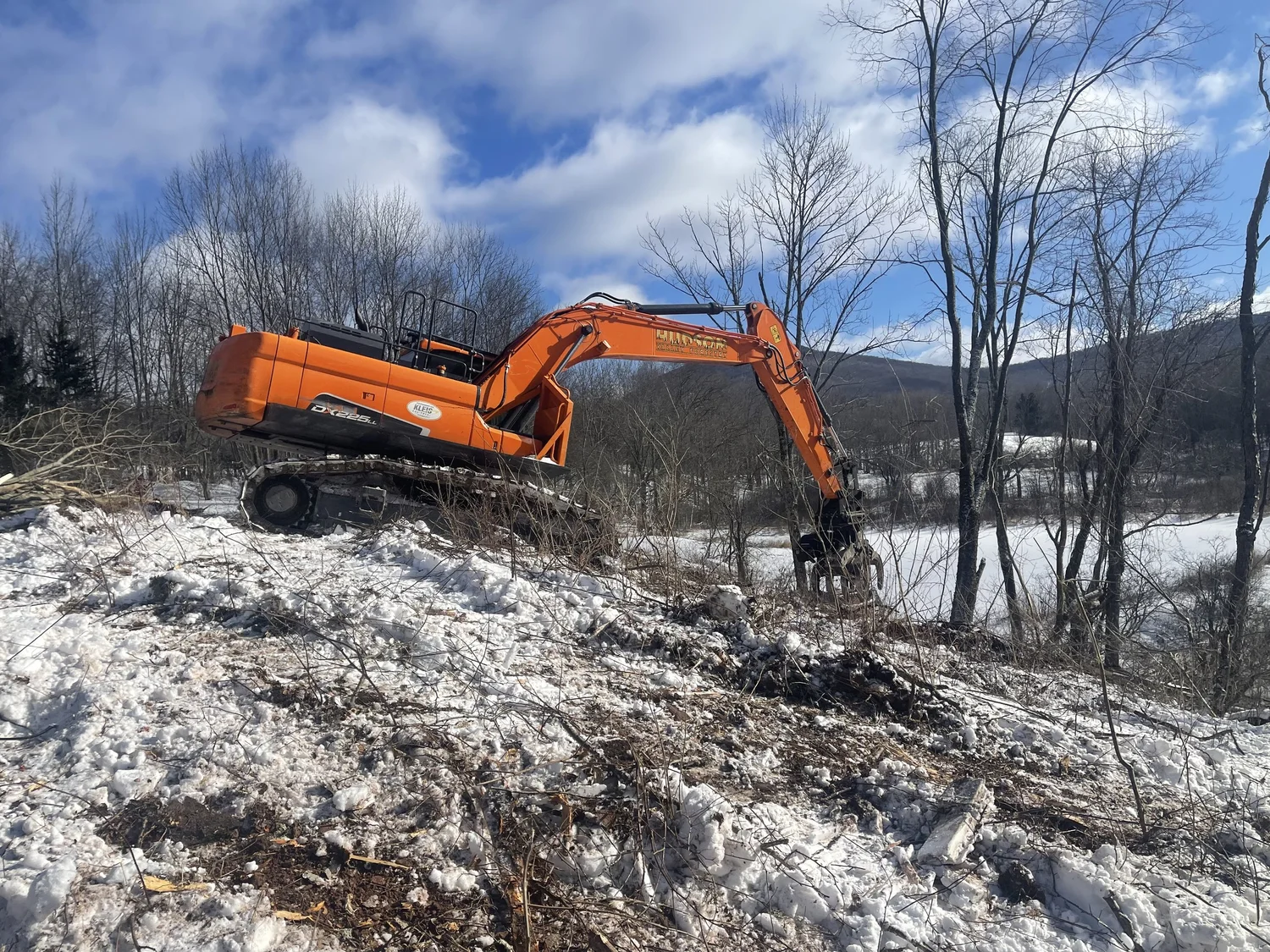 Forestry Mulching - Advantage Tree Service - Albany, NY, Capital Region