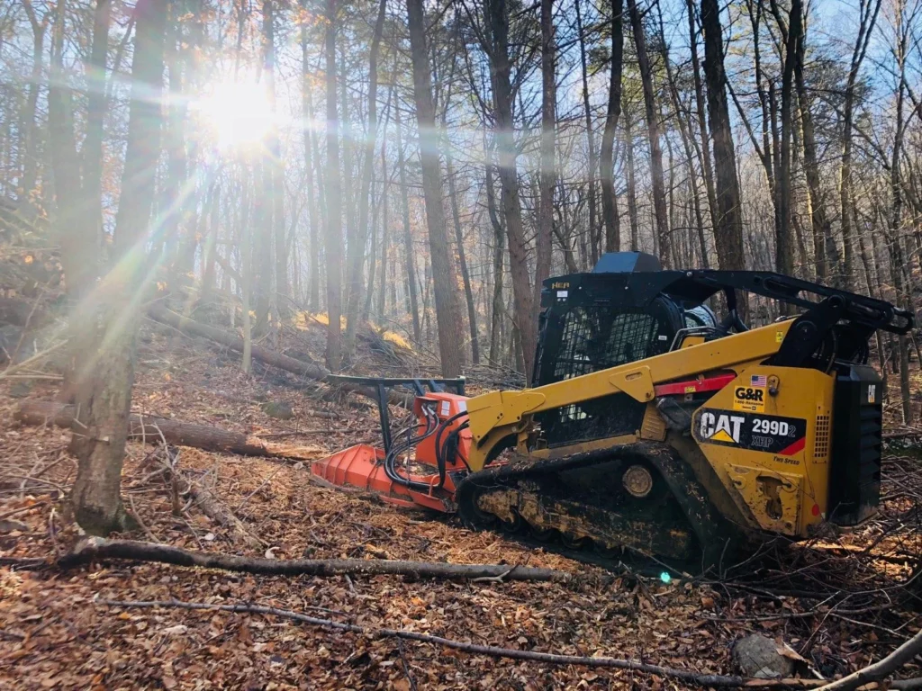 Forestry Mulching - Advantage Tree Service - Albany, NY, Capital Region