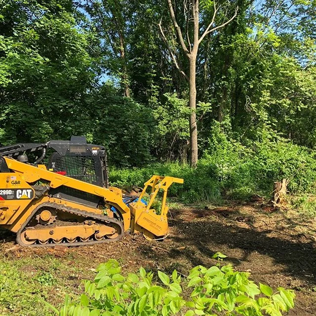 Forestry Mulching - Advantage Tree Service - Albany, NY, Capital Region